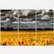 Designart - Van Gogh Summer with Clouds - Landscape Artwork Canvas